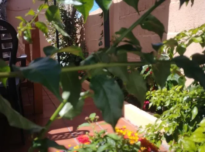 Casa Centrica En Hébergement de vacances